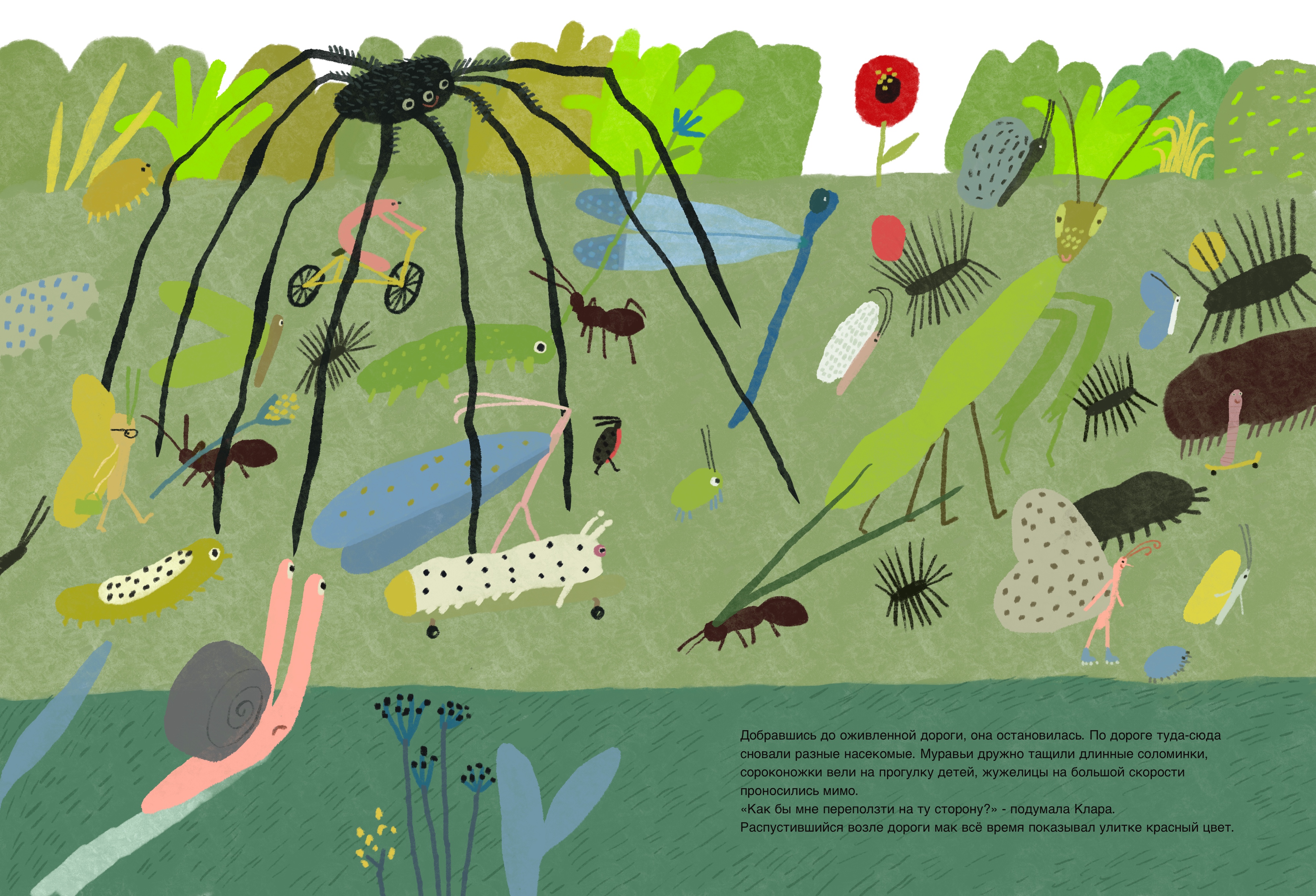 Улитка Клара и час пик