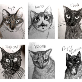 банда из Кологрива