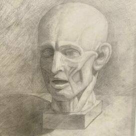 Голова академ рисунок 