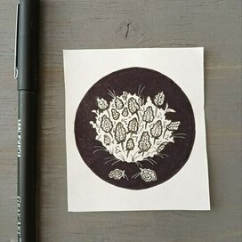 Вымышленное растение Пожухник к книге "Тригла" Евы Дреянде 