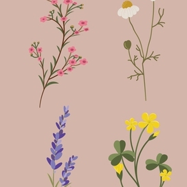 Декоративные элементы для дизайна