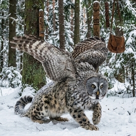 Сказочные животные