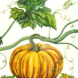 Акварельный триптих с тыквами | интерьерная картина