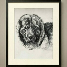 Портрет питомца