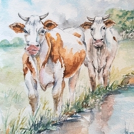 Клевер есть?