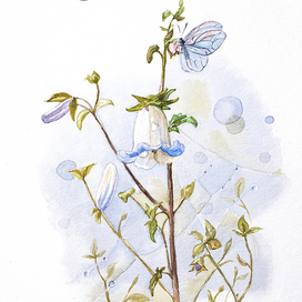 «Колокольчик»