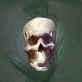 Skull