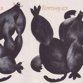 Зин "Сильный кот"