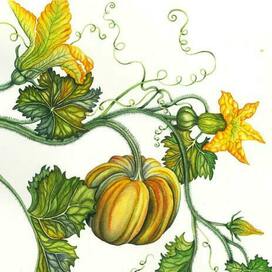 Фрагмент акварельной работы с тыквами | триптих в интерьер