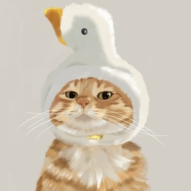 Кот в шапке