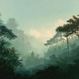 Туман в горах