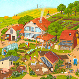 Вид сверху на хозяйство