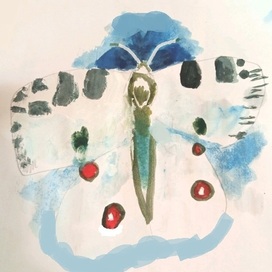 Бабочка аполлон