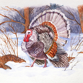 «Индюк в зимнем лесу»