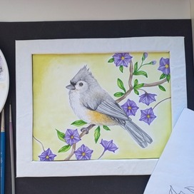 Острохохлая синица и Лициантес Рантонне (Паслён) 💚