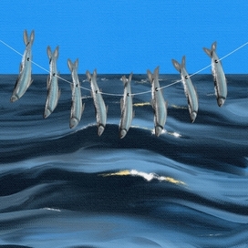 Балтийская корюшка