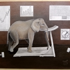 🎬"Начало Труда"🐘