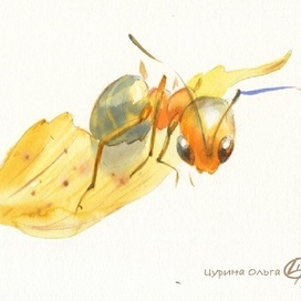 Муравьишка на березовом листке летит