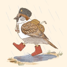 Кубанский воробушек