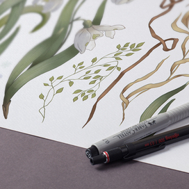 Подснежники