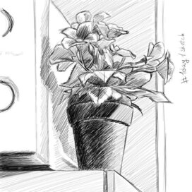 Растение в горшке