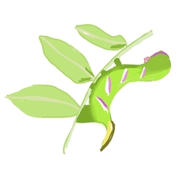 Красивая гусеница