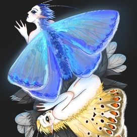 "Бабочки Икар"