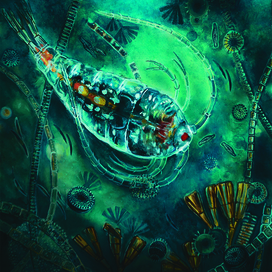 Рачок Эпишура