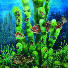 Подводный дом - байкальская губка