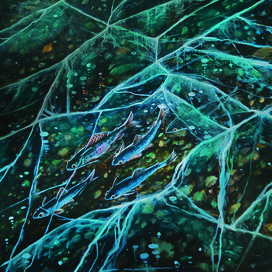 Хариус подо льдом. Озеро Байкал