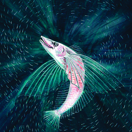 Голомянка - уникальная рыбка озера Байкал