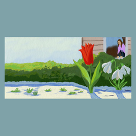 Иллюстрации к "Сказкам о цветах" Анны Саксе