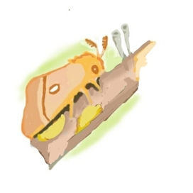 Бабочка на веточке