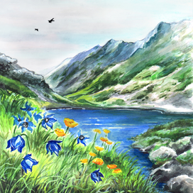 Светлые очи тайги