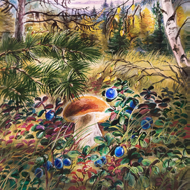 Август в лесах