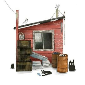 Рыбки кошки чайки