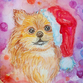 Скетч акварель новогодний шпиц