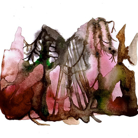 хитрый лес, 2024