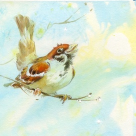 Обложка к книге «Воробьишкина весна» Н. Сладков, издательство «Речь», 2025