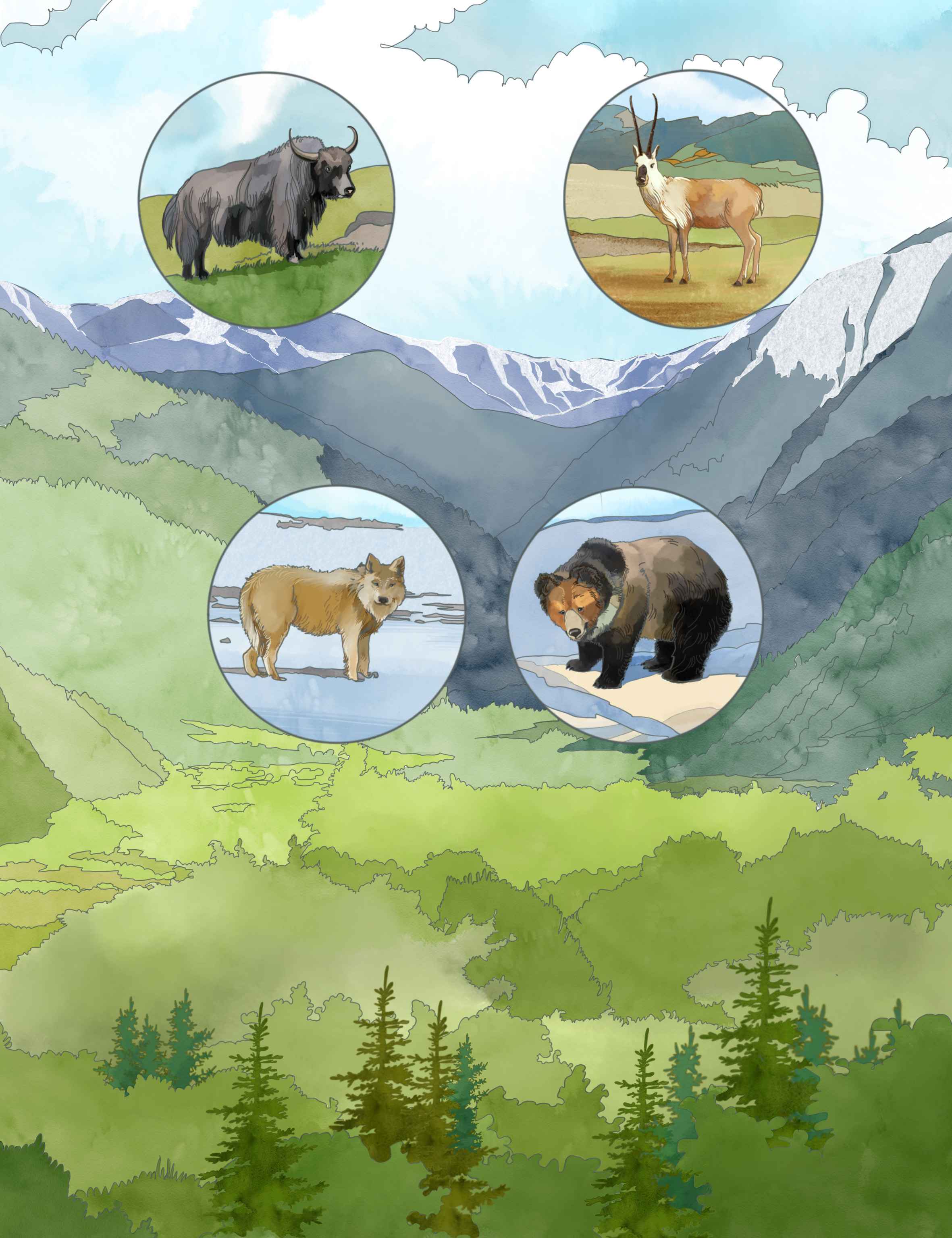 Иллюстрация