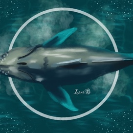 Горбатый кит