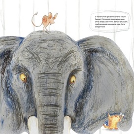 Иллюстрация к детской книге про уши