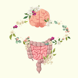 Мозг и кишечник