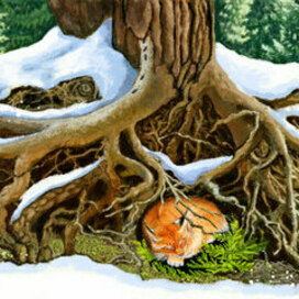 Анжела Снежкова "Чудеса живут повсюду"