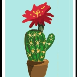 Постер " Кактус в цвету"