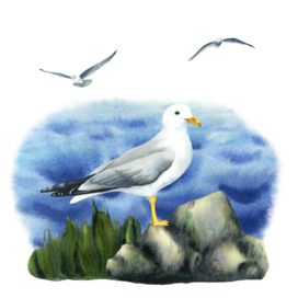 Чайки у озера | акварельная композиция