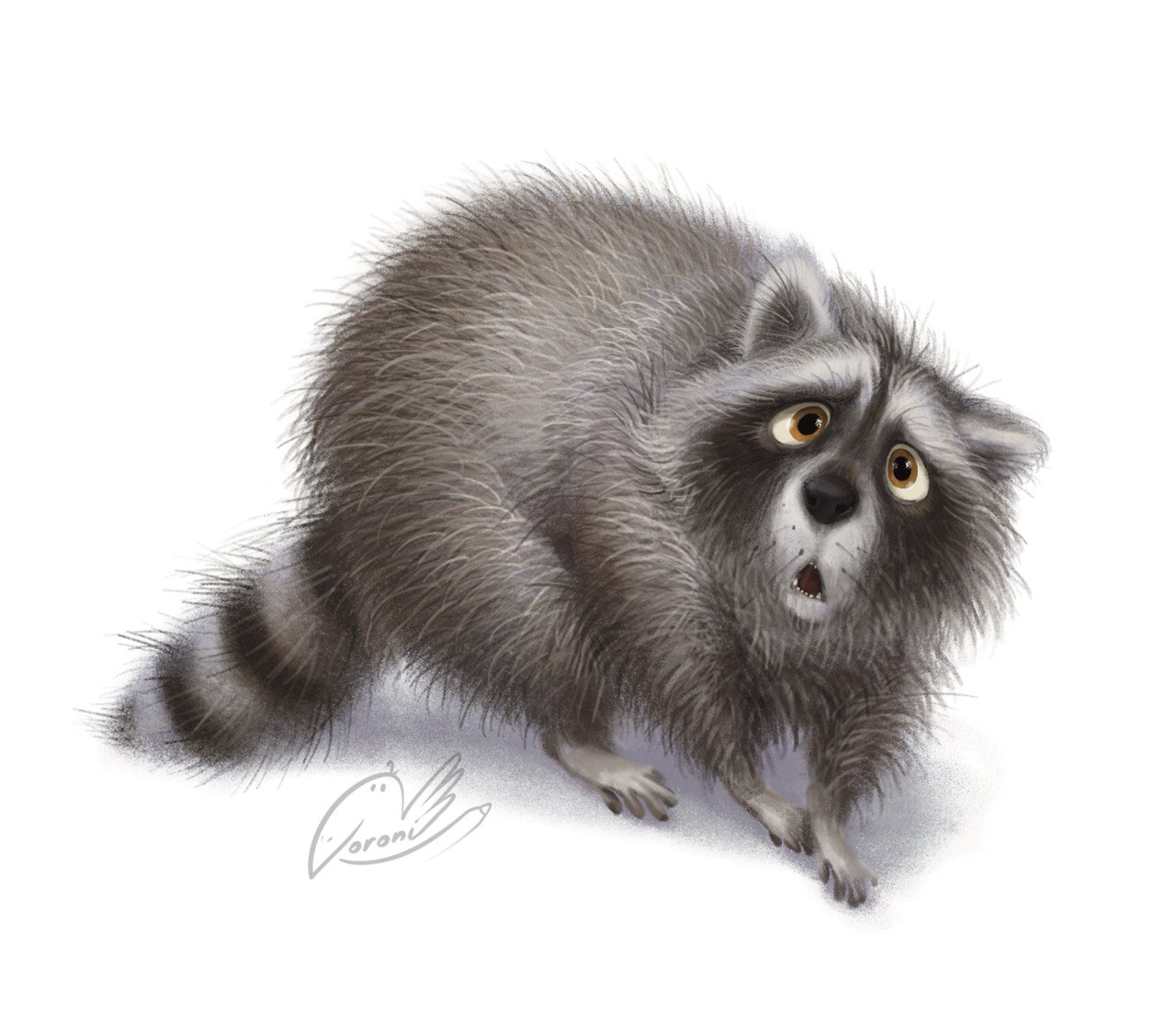 Пушистая енотовость🦝