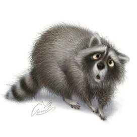 Пушистая енотовость🦝