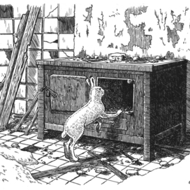 Заброшенный пионерский лагерь.