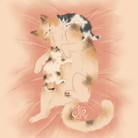 Материнская мягкость